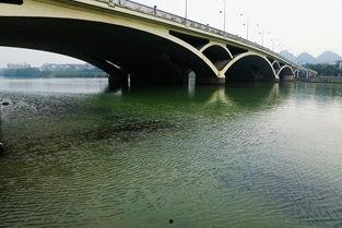 桂林解放桥今日新闻爆料,桥梁维修工程进展及交通管制情况揭晓 第2张 桂林解放桥今日新闻爆料,桥梁维修工程进展及交通管制情况揭晓 第2张